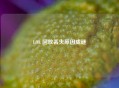 LOL 回放丢失原因成谜