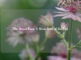 The Steam Ruin: A Silent Echo of the Past