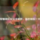 王者荣耀组队玩法全解析，能否组队一文读懂