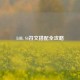 LOL S4符文搭配全攻略