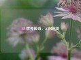 CF 世界传奇，cf 阿起哥