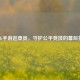 PUBG手游巡查员，守护公平竞技的幕后英雄