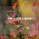 今晚CSGO热血之战来袭！