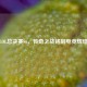LOL总决赛S6，传奇之战铭刻电竞辉煌
