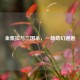 金氪拉与三国杀，一场奇幻邂逅