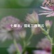 七星杀，搅乱三国风云