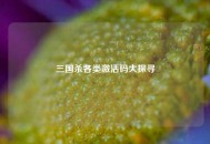 三国杀各类激活码大探寻