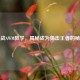 逆战AWM教学，揭秘成为狙击王者的秘籍