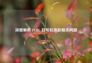 深度解析 PUBG 封号后退款相关问题