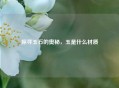 探寻玉石的奥秘，玉是什么材质