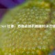 CSGO 比赛，热血战场的巅峰对决详情