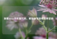 探索Steam手机版代码，解锁数字游戏世界密钥