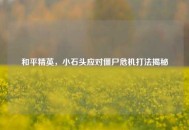 和平精英，小石头应对僵尸危机打法揭秘