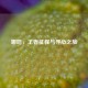 哪吒，王者征程与寻心之旅