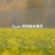 Pygame 的初始化操作