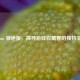 Steam 领绝版，探寻游戏收藏界的独特宝藏