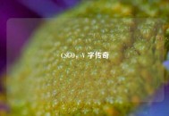 CSGO，V 字传奇