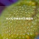 PUBG安卓更新全流程指南