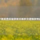 和平精英直装版教程全解析及谨慎使用提醒