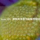 探索 Steam API，游戏开发者与玩家连接的桥梁