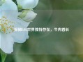 探秘LOL世界独特存在，牛肉酋长