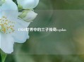 CSGO世界中的兰子传奇csgolan