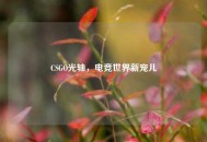CSGO光轴，电竞世界新宠儿
