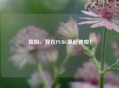 姐姐，我在PUBG里超神啦！
