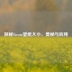 探秘Steam壁纸大小，奥秘与应用