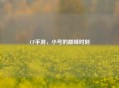 CF手游，小号的巅峰时刻