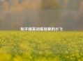 和平精英训练场里的小飞