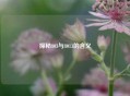 探秘803与8013的含义