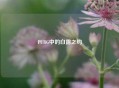 PUBG中的白露之约