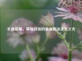 王者荣耀，荣耀战场的最强裁决正义之光