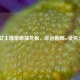 CSGO女主播豪赌抽龙狙，幸运眷顾or徒劳无功？