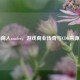 PUBG商人znafer，游戏商业传奇与CDK来源之谜