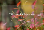 了解PUBG Key含义及pubg kr mobile