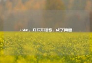CSGO，开不开语音，成了问题