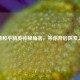 揭秘和平精英神秘角落，等你开启探索之旅