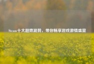 Steam十大超燃混剪，带你畅享游戏***盛宴