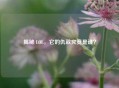 揭秘 LOL，它的仇敌究竟是谁？