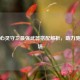 逆战心灵守卫最强武器搭配解析，助力驰骋战场