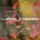 Steam棋类游戏，方寸间的智慧对决