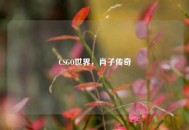CSGO世界，肖子传奇