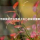 和平精英能否在电视上玩？答案全面解析
