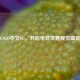CSGO中文CG，开启电竞世界视觉盛宴