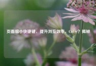 页面缩小快捷键，提升浏览效率，Ctrl+？揭秘