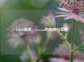 CSGO赛场，scream的咆哮与荣耀