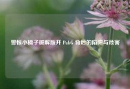 警惕小橘子破解版开 PubG 背后的陷阱与危害
