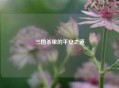 三国杀里的平安之道